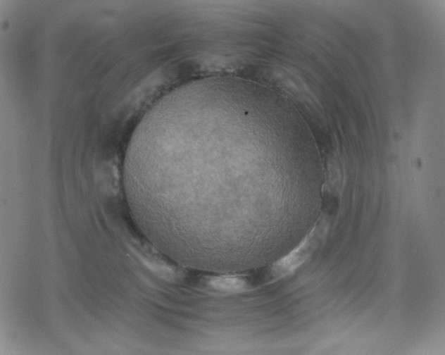 X0000075810183200609221318