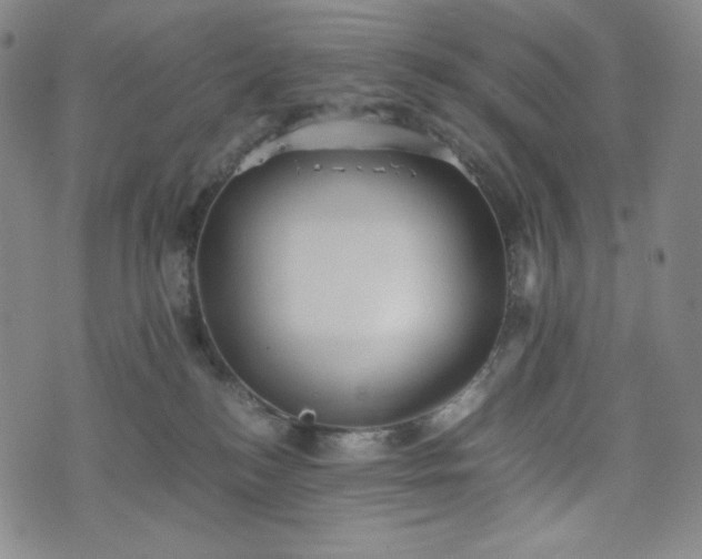 X0000075810184200609221318