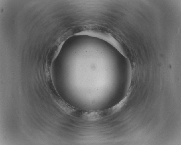 X0000075810186200609221318