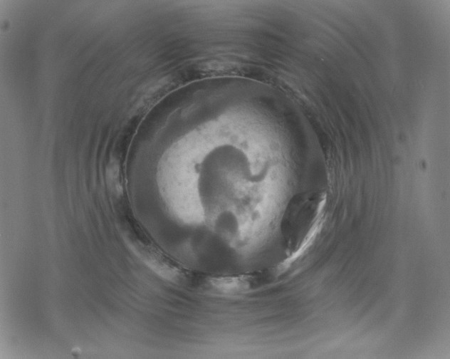 X0000075810187200609221318