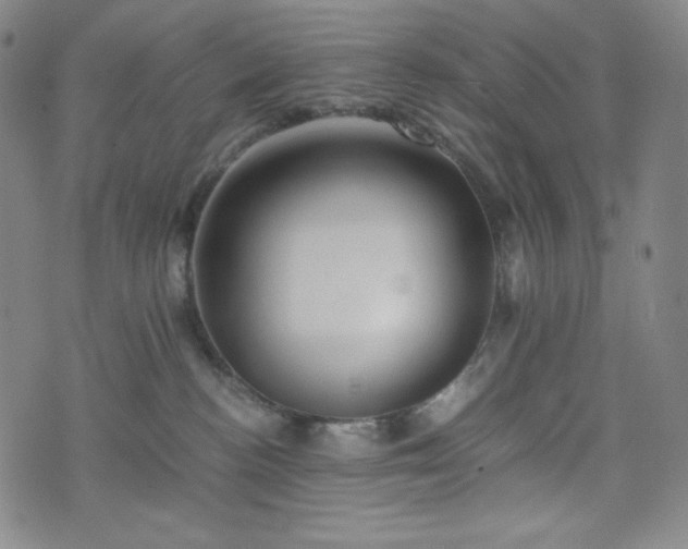 X0000075810188200609221318