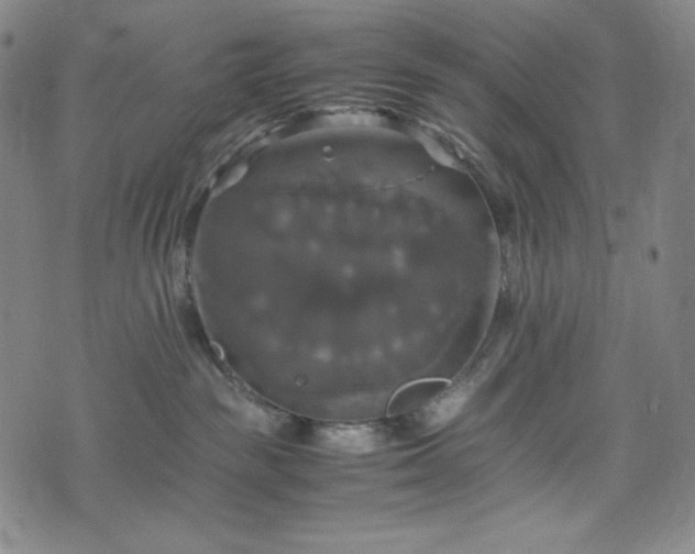 X0000075810189200609221318