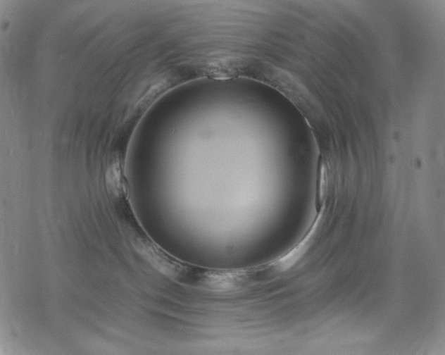 X0000075810190200609221318