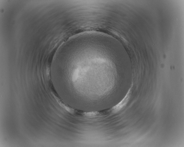 X0000075810192200609221318