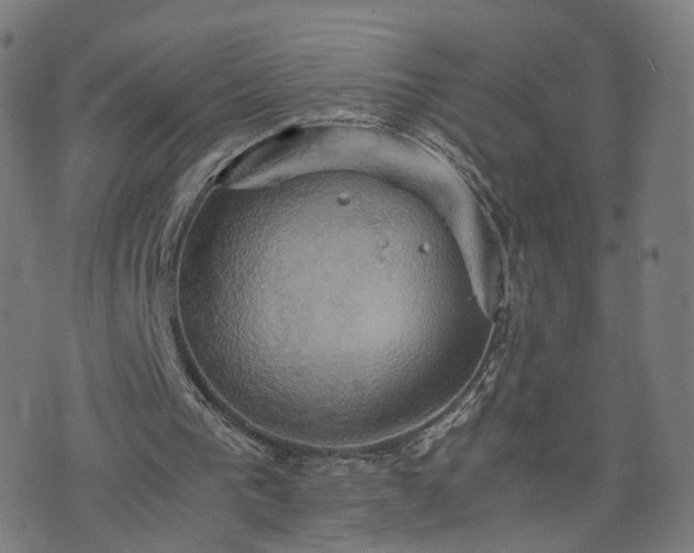 X0000075810193200609221317