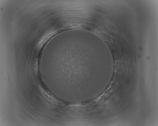 X0000075810194200609221317