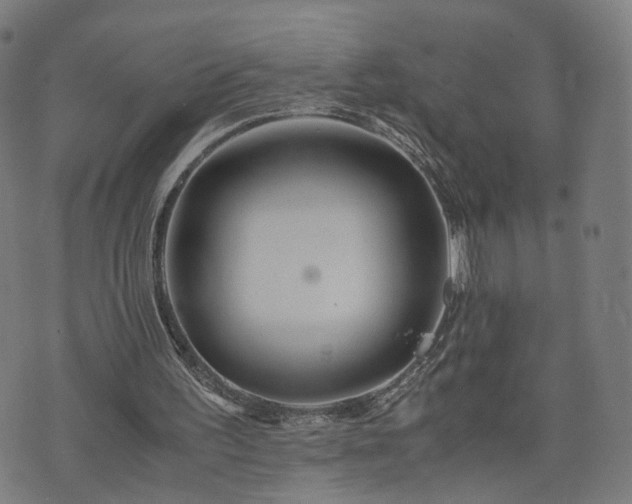 X0000075810195200609221317