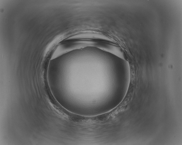 X0000075810197200609221317