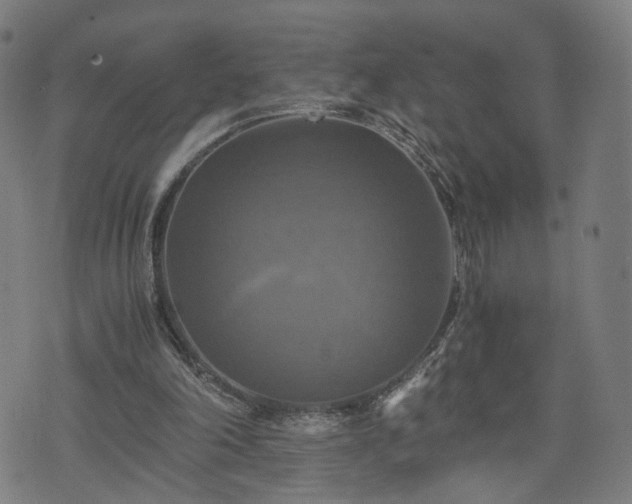 X0000075810198200609221317