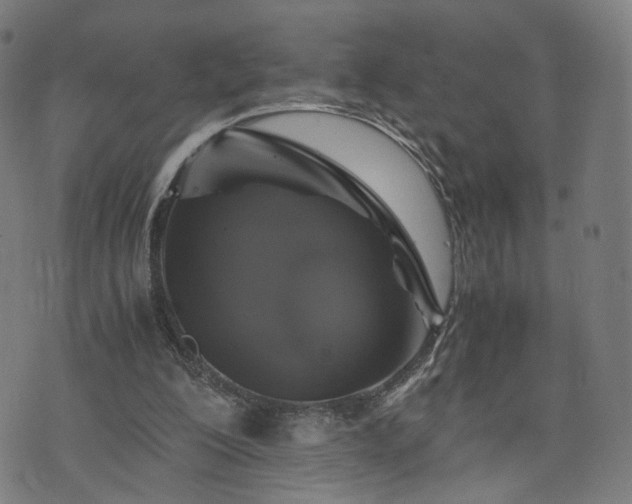 X0000075810200200609221317