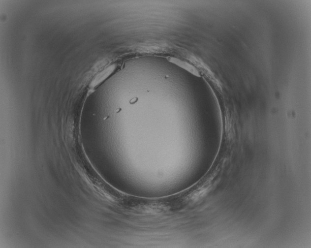 X0000075810201200609221317