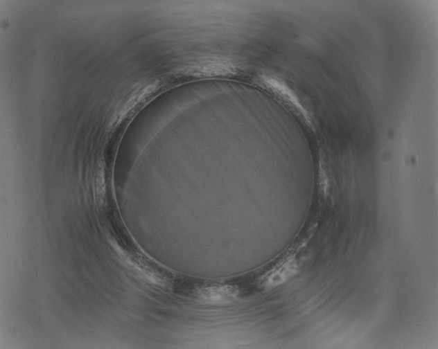 X0000075810202200609221317