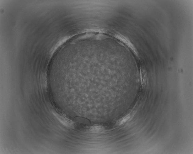 X0000075810204200609221317