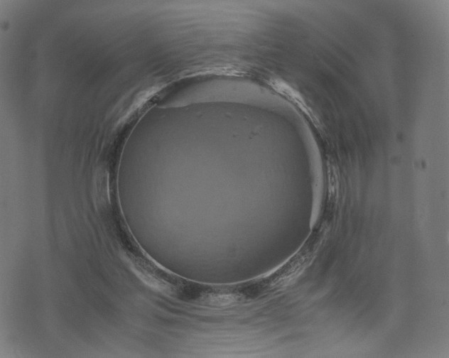 X0000075810205200609221317