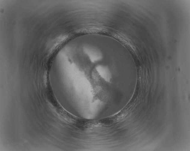 X0000075810206200609221317