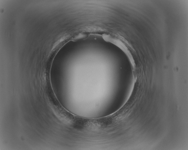 X0000075810207200609221317