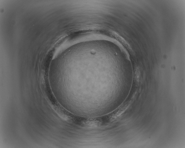 X0000075810209200609221317