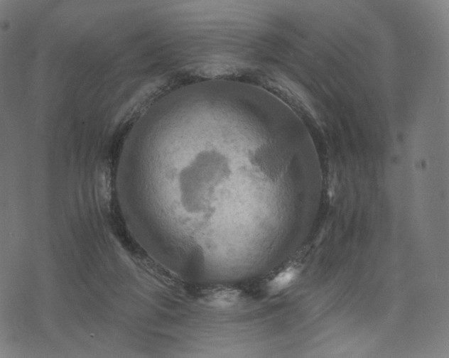 X0000075810210200609221317