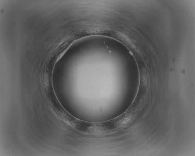 X0000075810211200609221317