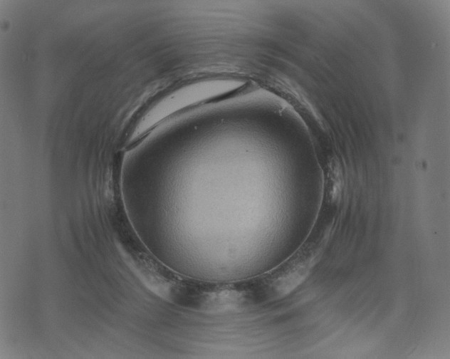 X0000075810212200609221317