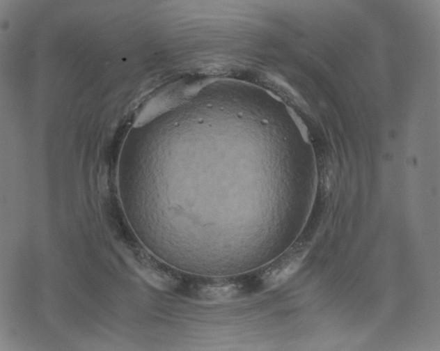 X0000075810213200609221317