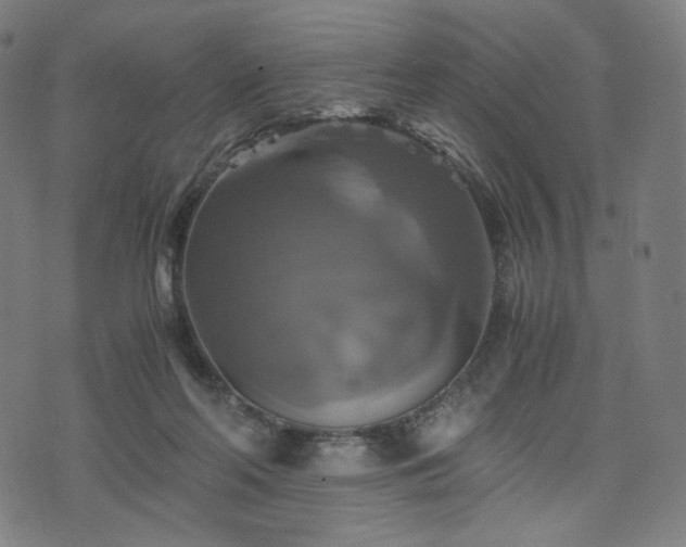 X0000075810214200609221317