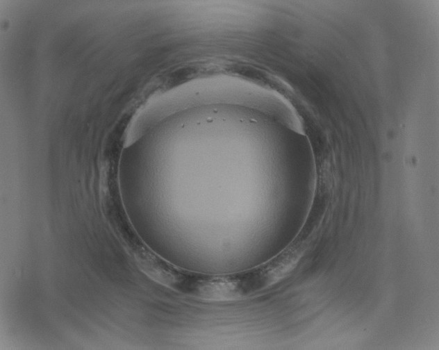 X0000075810217200609221317