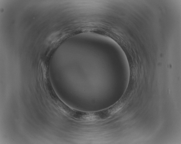 X0000075810219200609221317