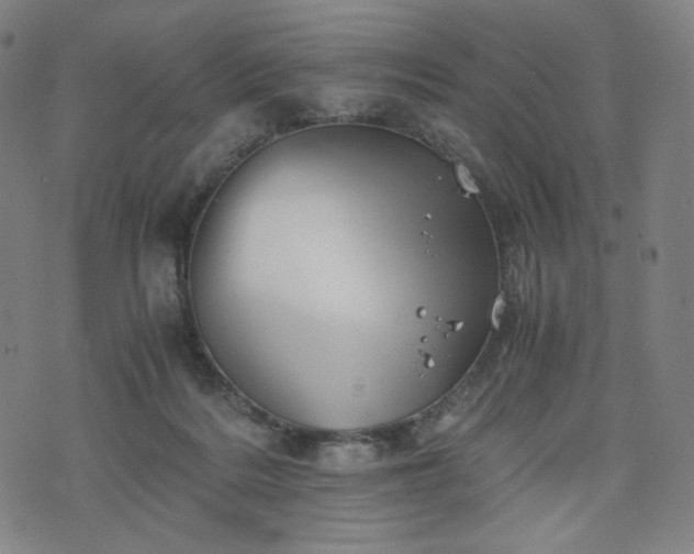 X0000075810220200609221316