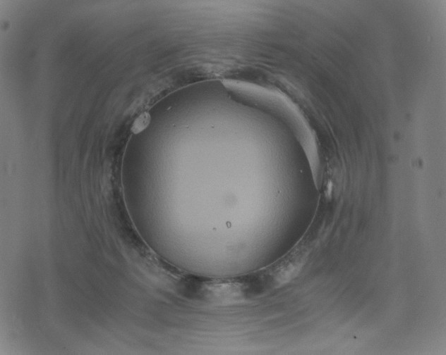 X0000075810221200609221316