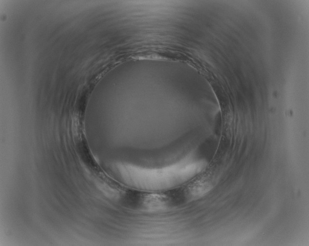 X0000075810222200609221316