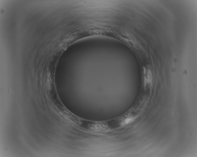 X0000075810223200609221316