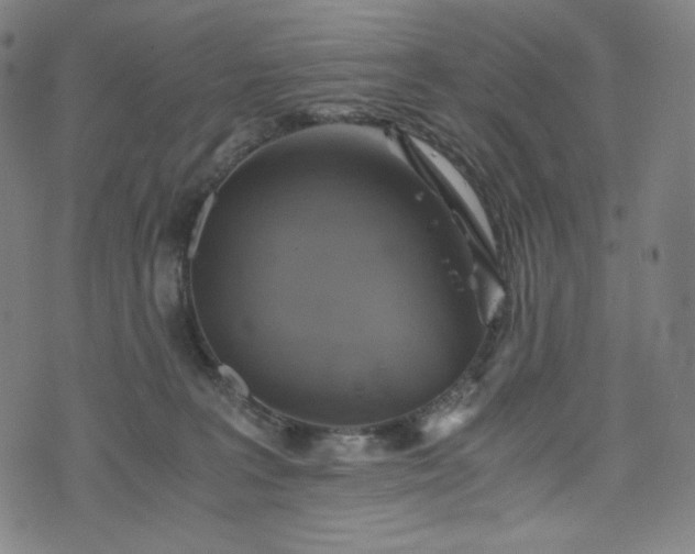 X0000075810227200609221316