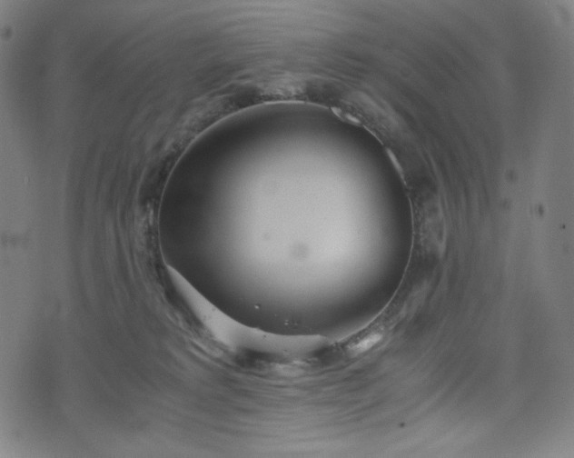 X0000075810229200609221316