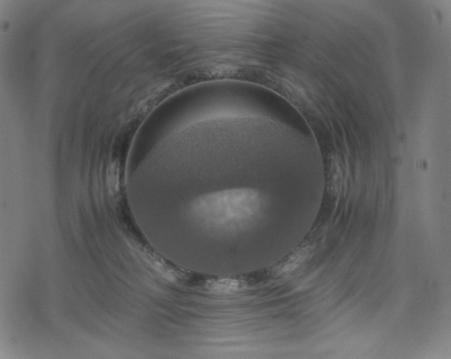 X0000075810230200609221316