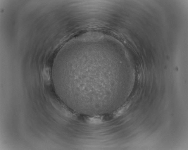 X0000075810232200609221316