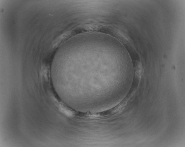 X0000075810233200609221316