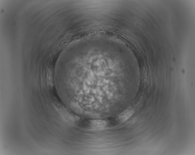 X0000075810234200609221316