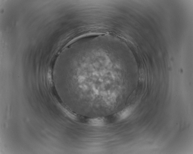 X0000075810238200609221316