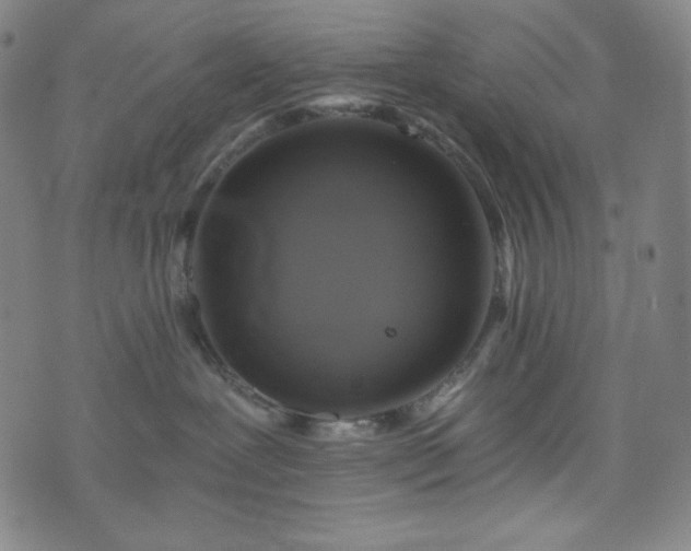 X0000075810239200609221316