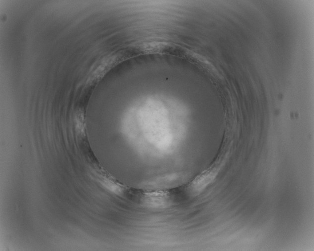 X0000075810240200609221316