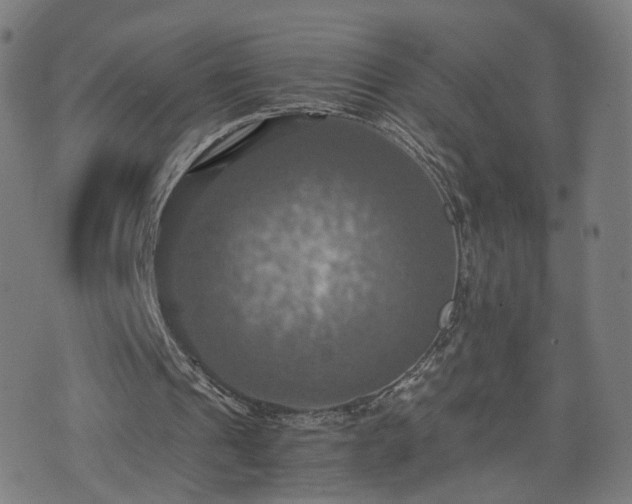 X0000075810241200609221315