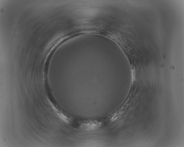 X0000075810243200609221315