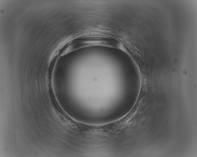 X0000075810244200609221315