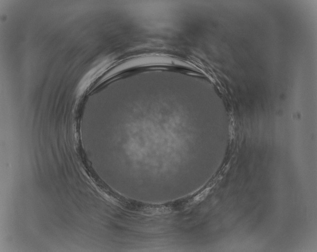 X0000075810245200609221315