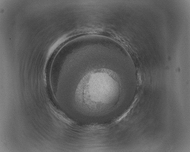 X0000075810246200609221315