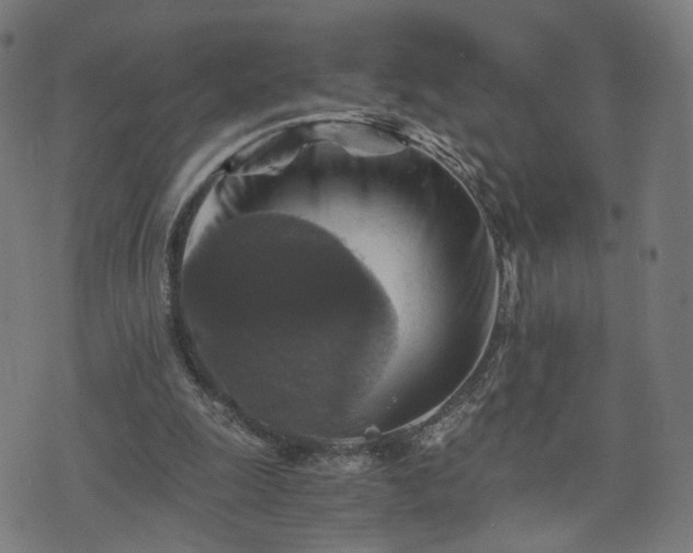 X0000075810247200609221315