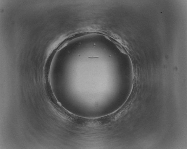 X0000075810248200609221315