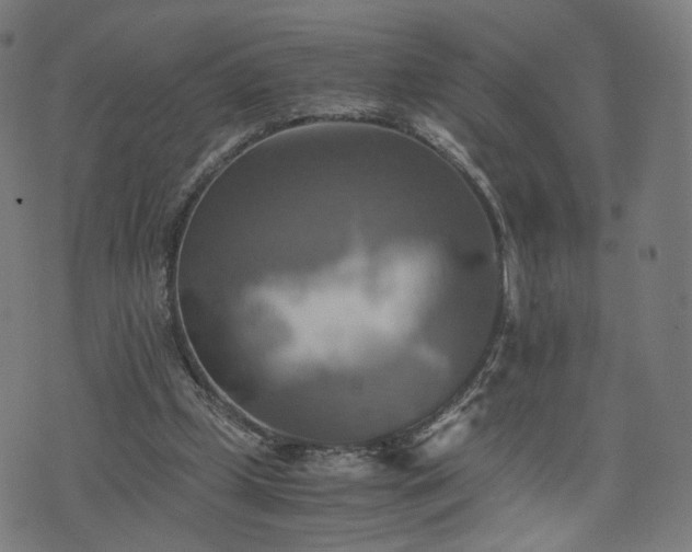 X0000075810249200609221316