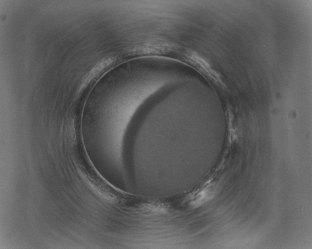 X0000075810250200609221316